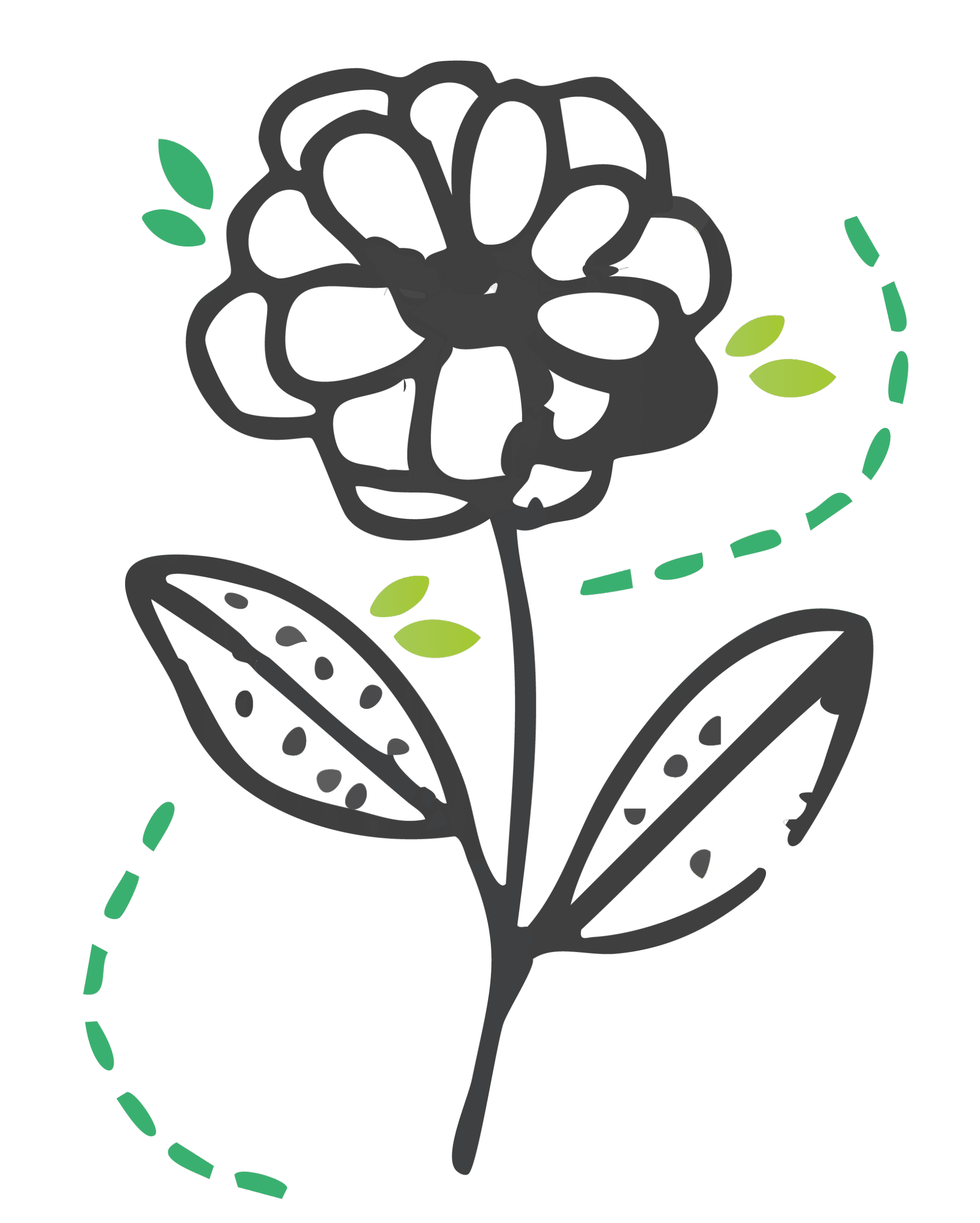 fleurs